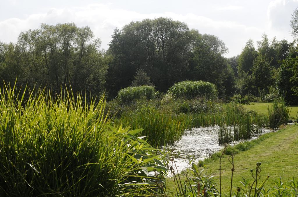 'T Vijverhof Viane 外观 照片